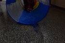 Начален етап посрещна родители и гости в Деня на отворените врати.